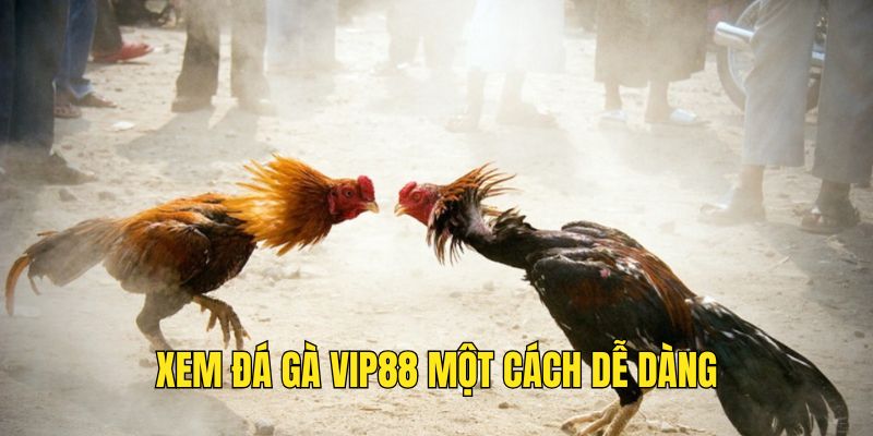 Xem-da-ga-Vip88-de-dang