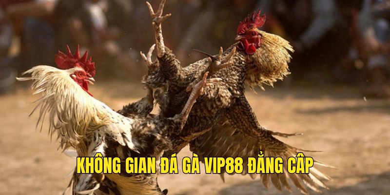 khong-gian-dang-cap-da-ga-Vip88