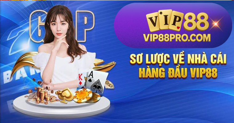 so-luoc-ve-nha-cai-hang-dau-vip88